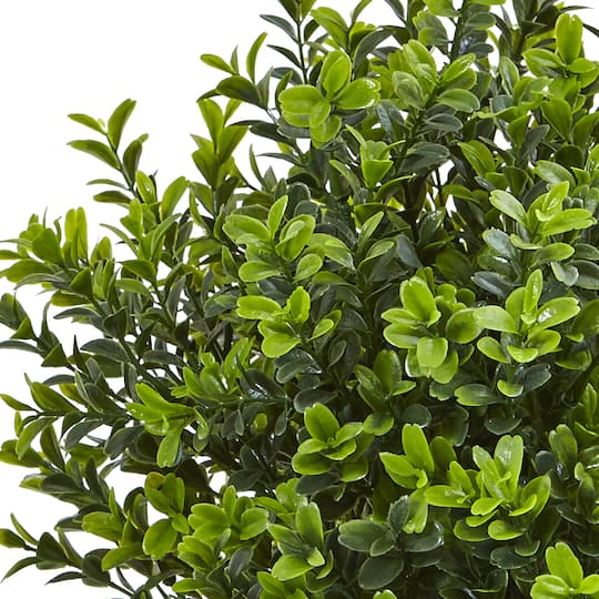 17" Boxwood in White Vase